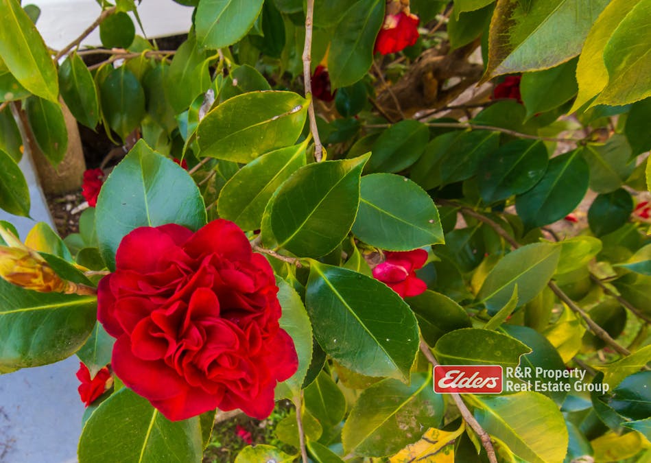 8 Oak Street, Gloucester, NSW, 2422 - Image 29