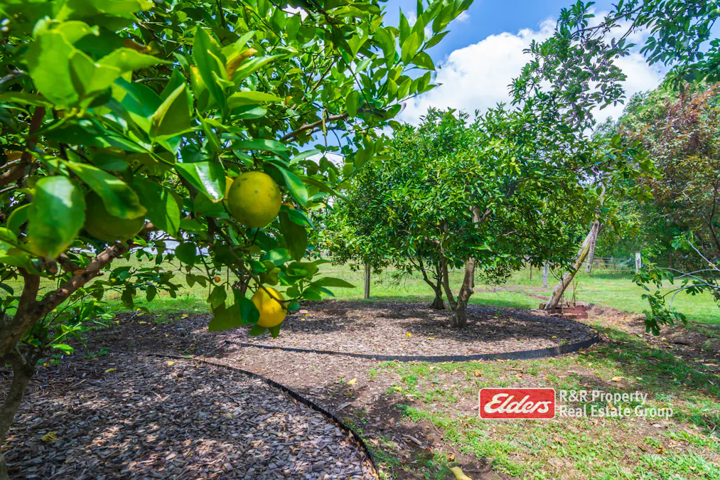 14 Nicholls Street, Stroud, NSW, 2425 - Image 27