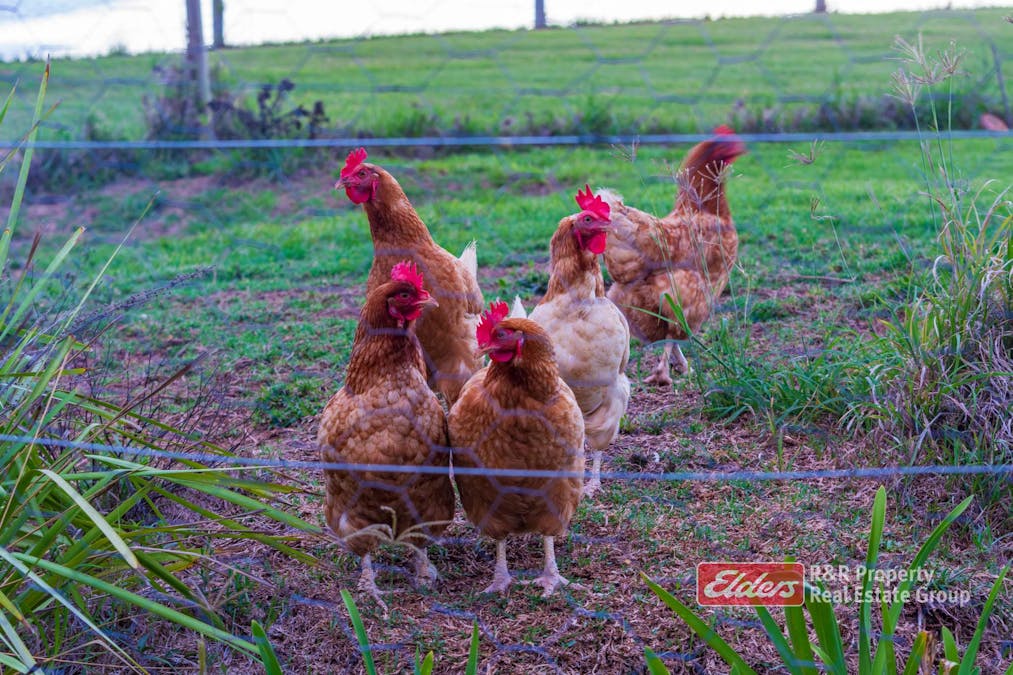 Lot 107 Tipperary Road, Tipperary via, Gloucester, NSW, 2422 - Image 25